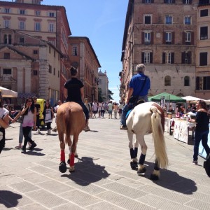 Passeggiata a cavallo in corso Vannucci a Perugia