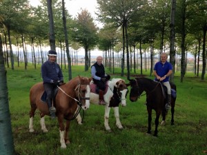 Passeggiata a cavallo a perugia nel bosco di ciliegi