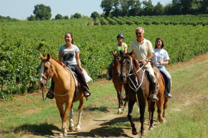 passeggiate a cavallo a perugia tra i vigneti